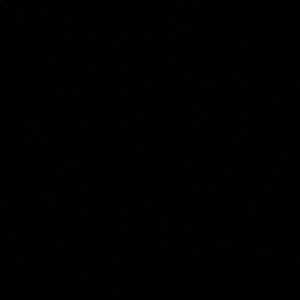 Meet your Posher, Harley